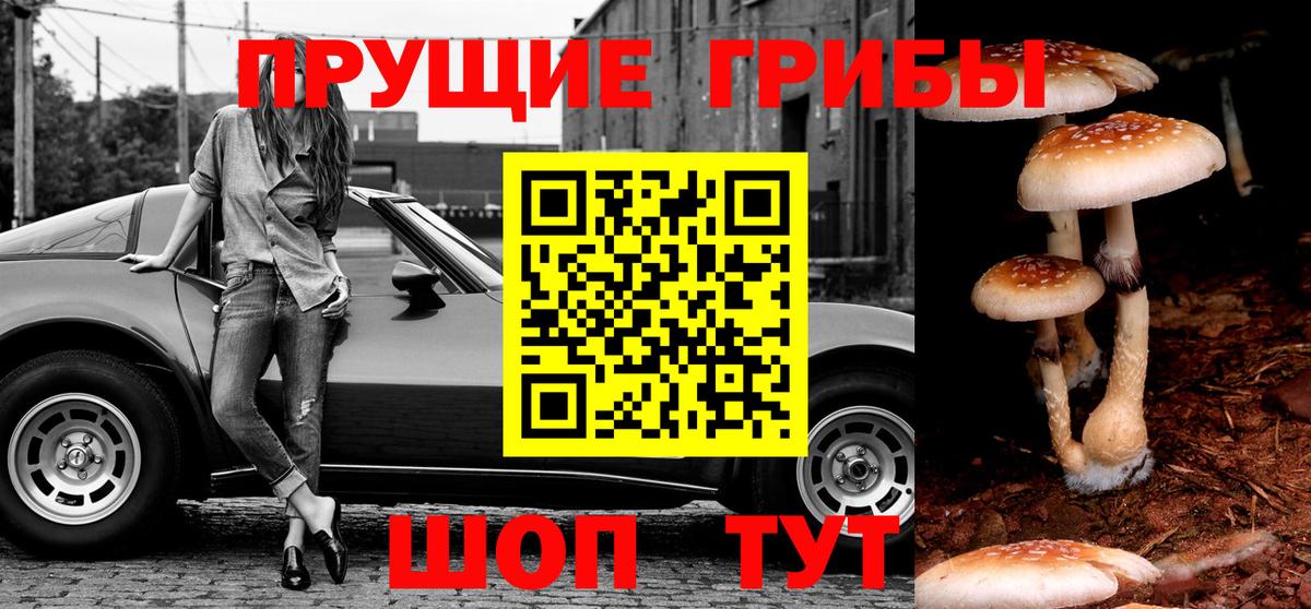 Галлюциногенные грибы мухоморы Торжок