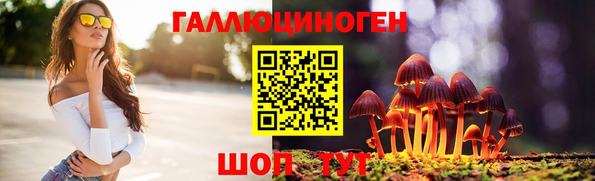 Галлюциногенные грибы мицелий  Вход с VPN  Псилоцибиновые грибы Magic Shrooms  Торжок 