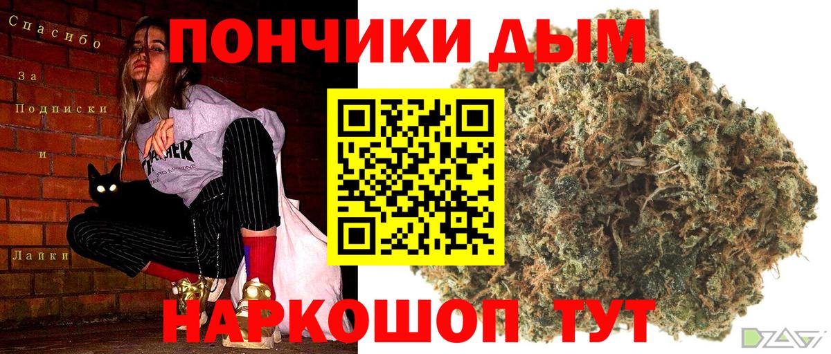 Торжок  Бошки Шишки Bruce Banner  Каннабис планчик  МАРИХУАНА LSD WEED  Вход с VPN  Каннабис сатива 